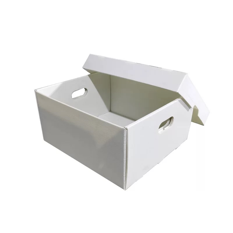corrugated plastic box