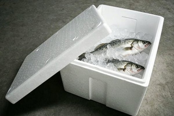 foam box