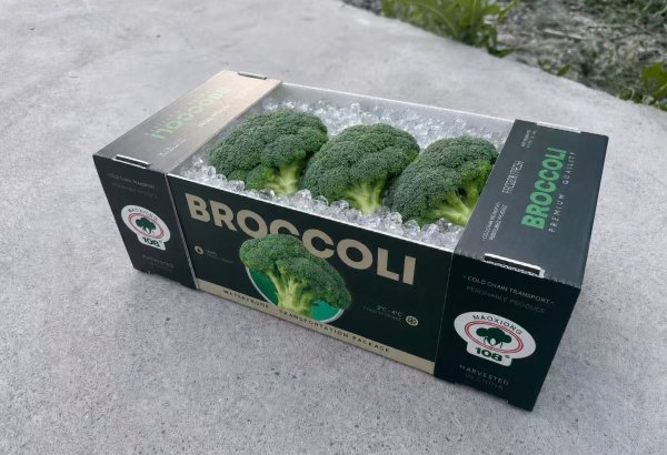 broccoli box